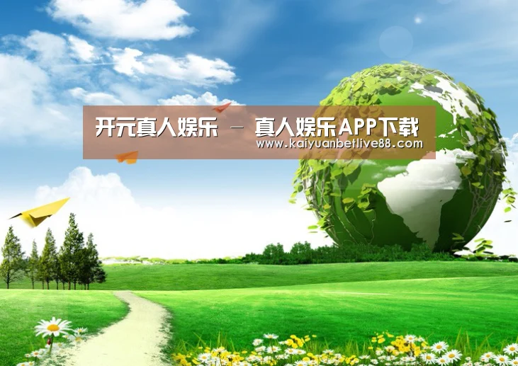 开元平台公司