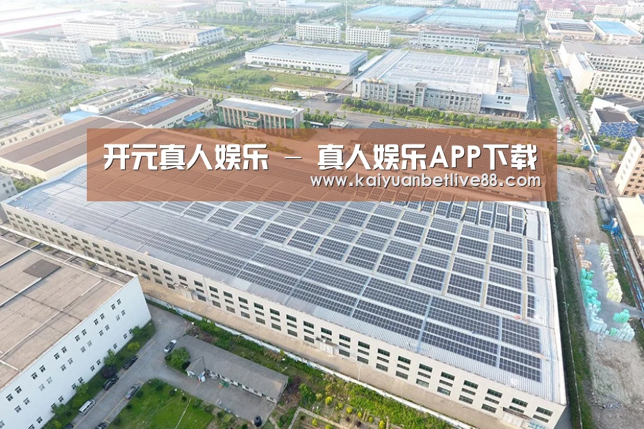 案例展示二