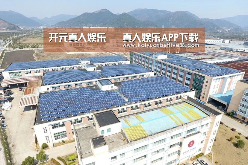 案例展示一