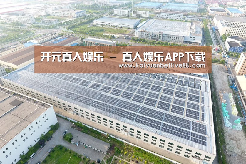 案例展示二