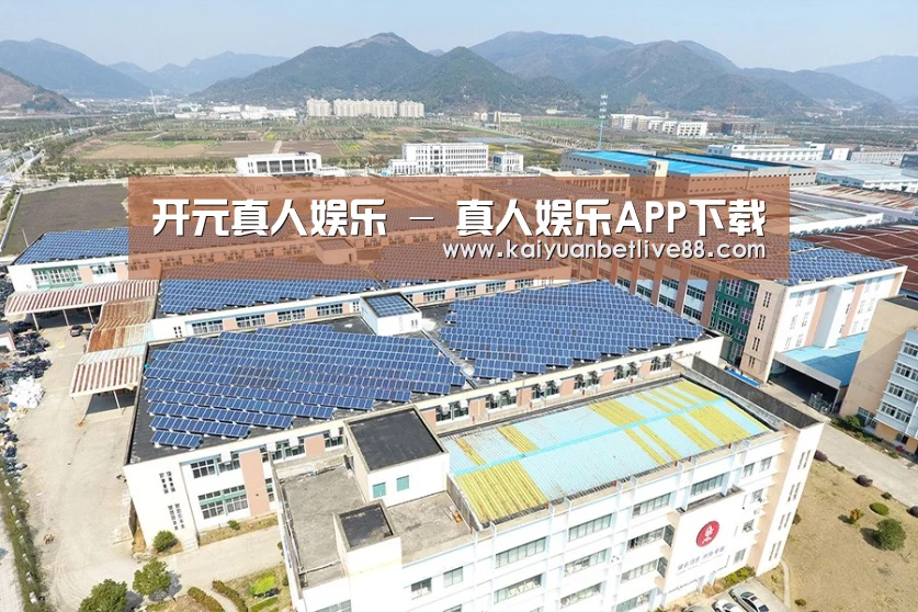 案例展示三