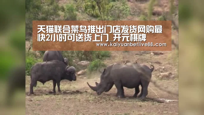 天猫联合菜鸟推出门店发货网购最快2小时可送货上门_开元棋牌(图4) 开元官方