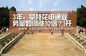 3年,攀枝花申通业务量如何涨10倍?|开元棋牌(图1) 开元官方
