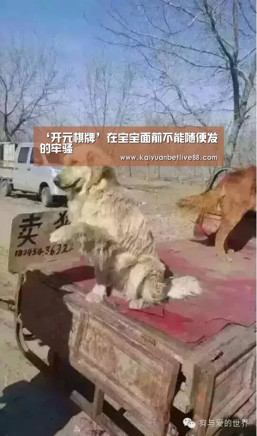 开元官方