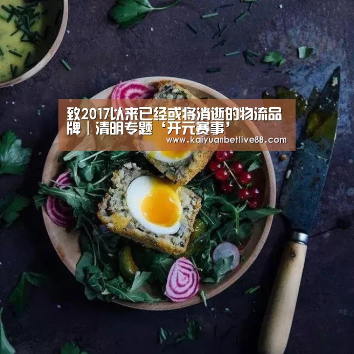 致2017以来已经或将消逝的物流品牌|清明专题‘开元赛事’(图1) 开元赛事