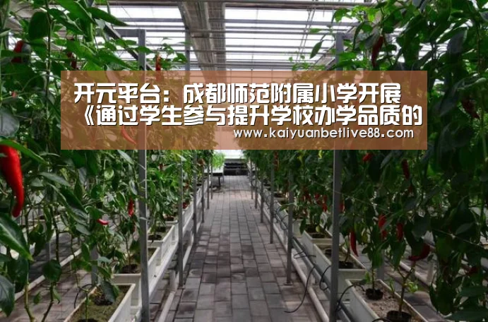 开元官方