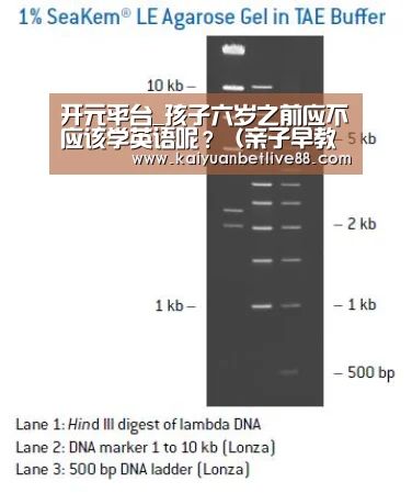开元赛事