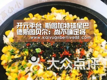 开元平台_斯图加特球星巴德斯图贝尔:尚不确定将来将加盟哪支球队(图1) 开元平台