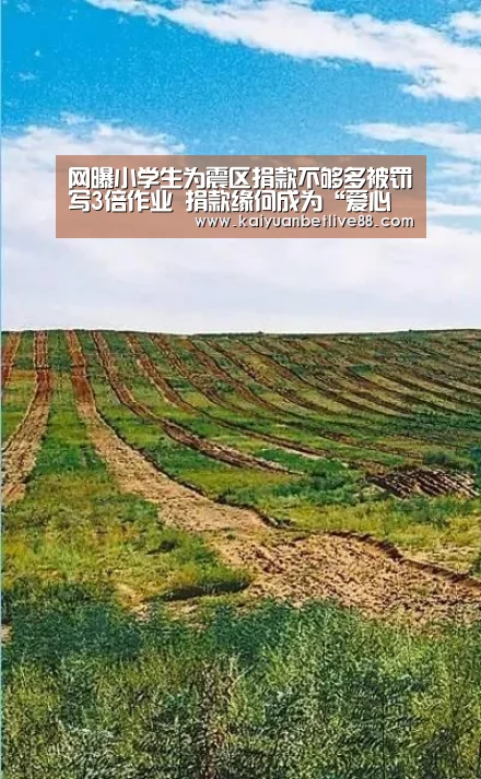 网曝小学生为震区捐款不够多被罚写3倍作业 捐款缘何成为“爱心绑架”?|开元官方(图2) 开元棋牌